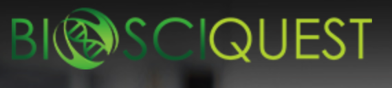 logo BSQ